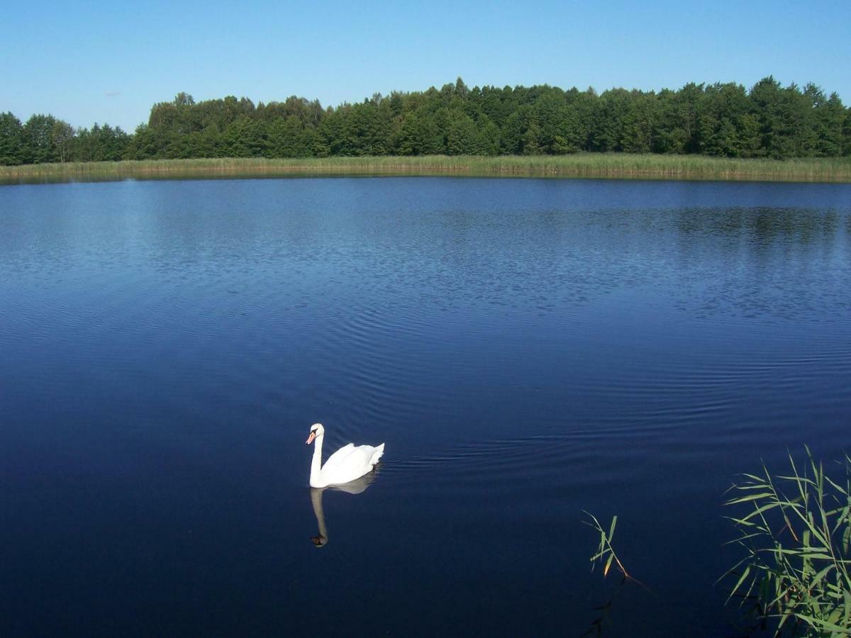 Domwigierski Pl -Jeziorki -Gr- Comfort-Ferienhaus-Polen - Wlasna Linia Brzegowa I Sauna Wysoki Most  Exterior foto