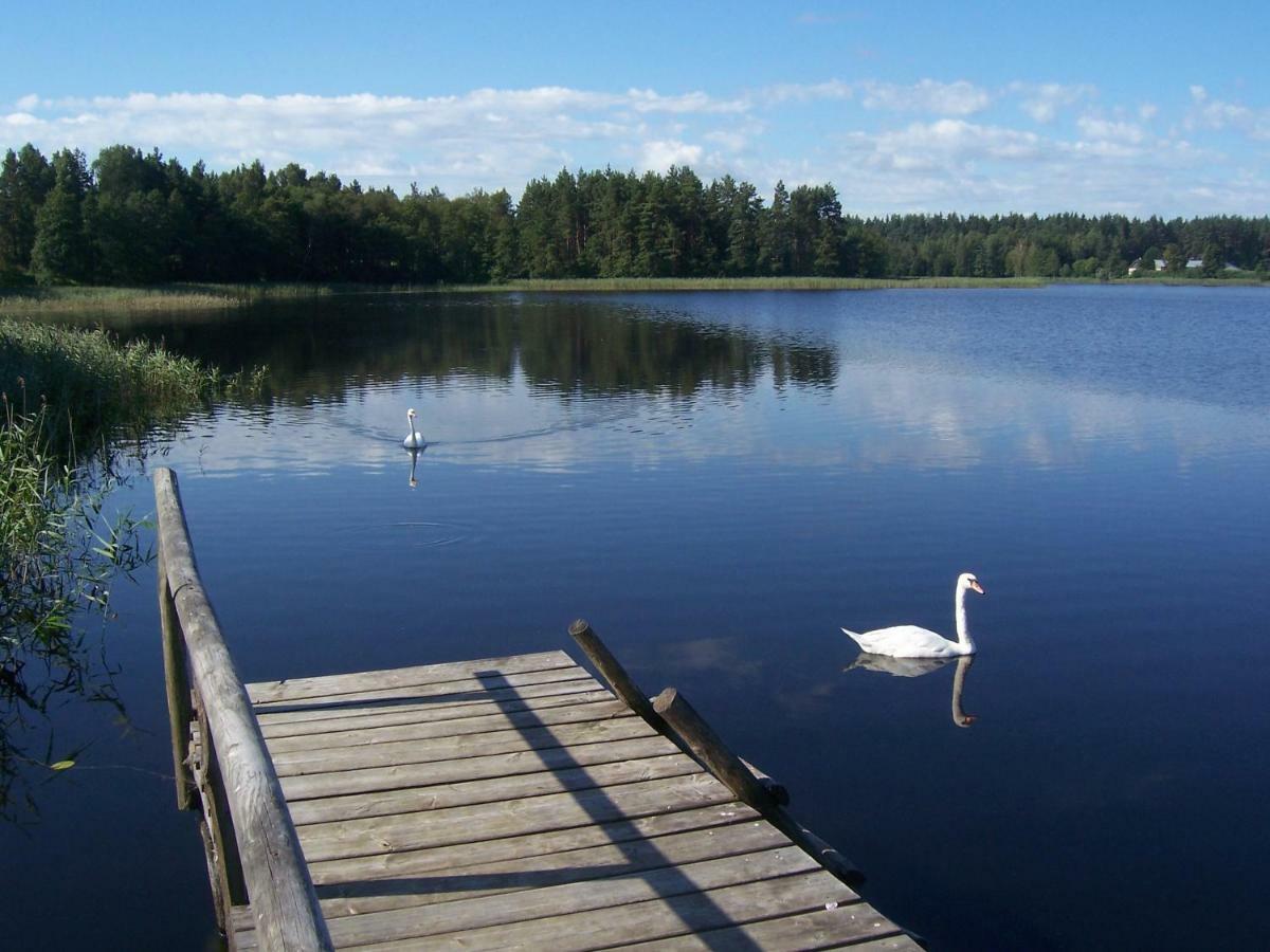 Domwigierski Pl -Jeziorki -Gr- Comfort-Ferienhaus-Polen - Wlasna Linia Brzegowa I Sauna Wysoki Most  Exterior foto