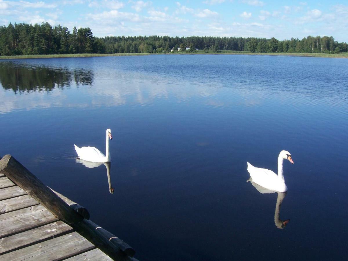 Domwigierski Pl -Jeziorki -Gr- Comfort-Ferienhaus-Polen - Wlasna Linia Brzegowa I Sauna Wysoki Most  Exterior foto