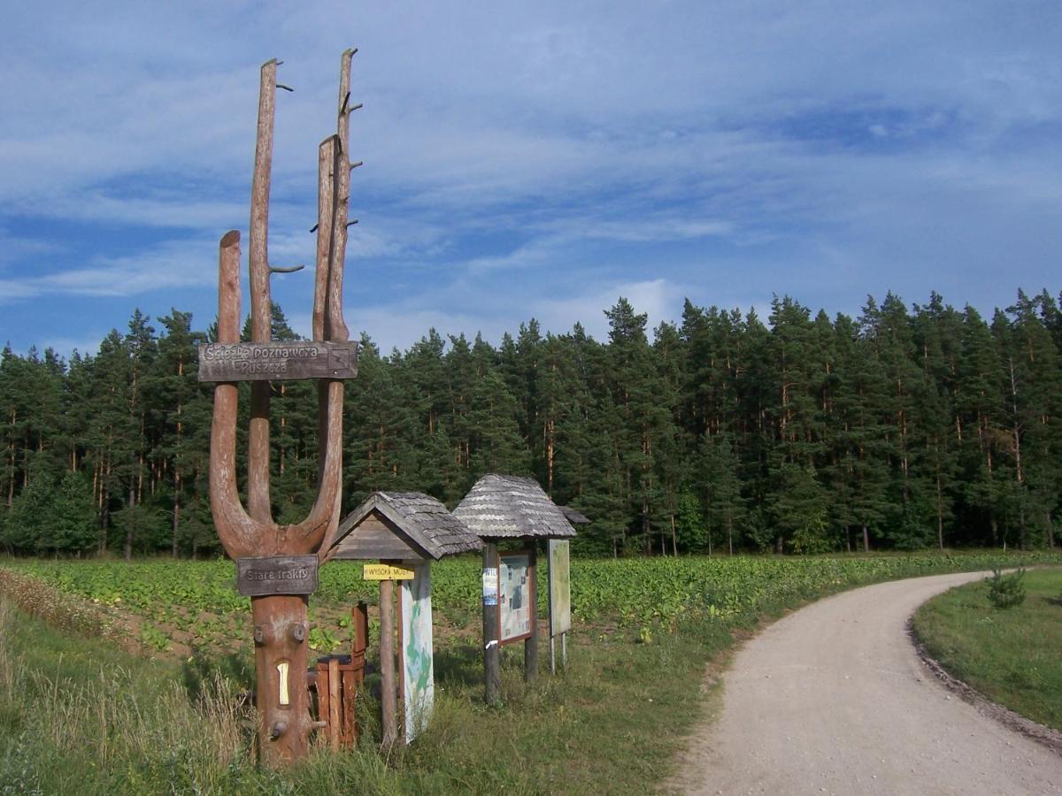 Domwigierski Pl -Jeziorki -Gr- Comfort-Ferienhaus-Polen - Wlasna Linia Brzegowa I Sauna Wysoki Most  Habitación foto